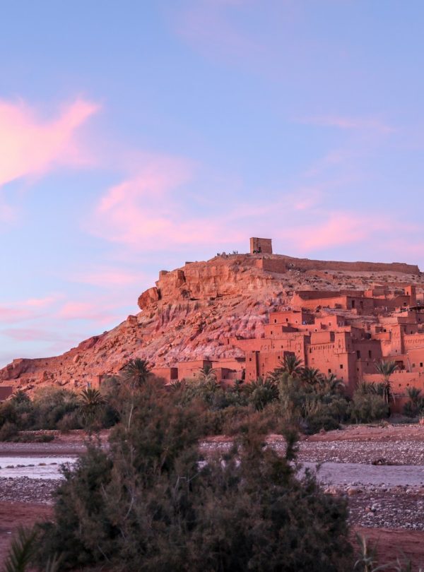 rock formations and trees