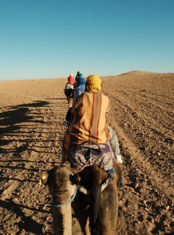 A group of people riding on the back of a camel