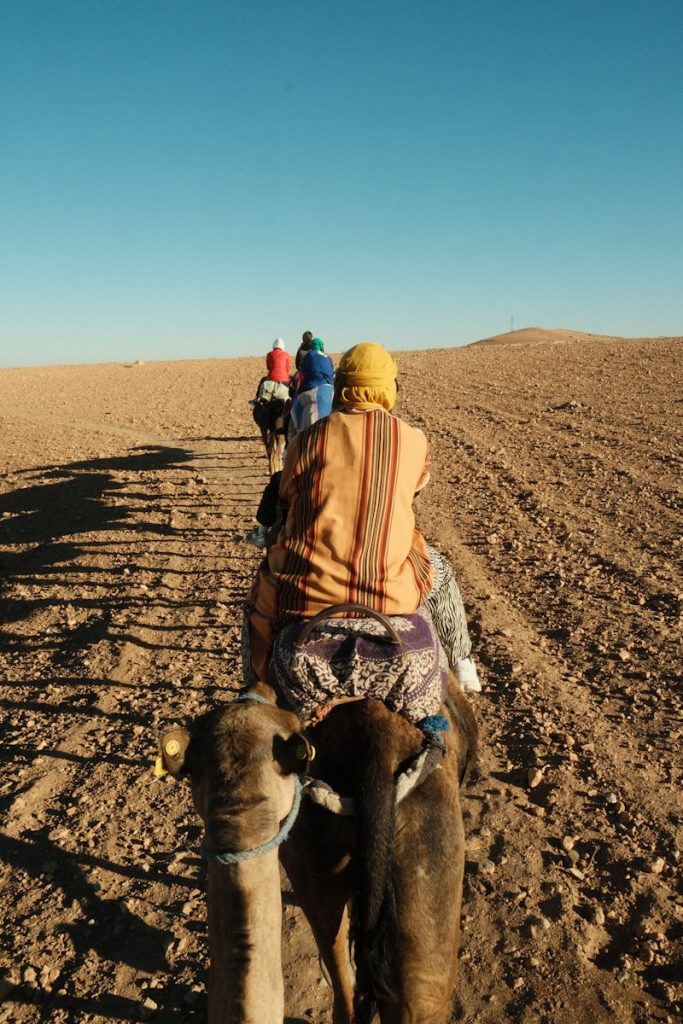 A group of people riding on the back of a camel