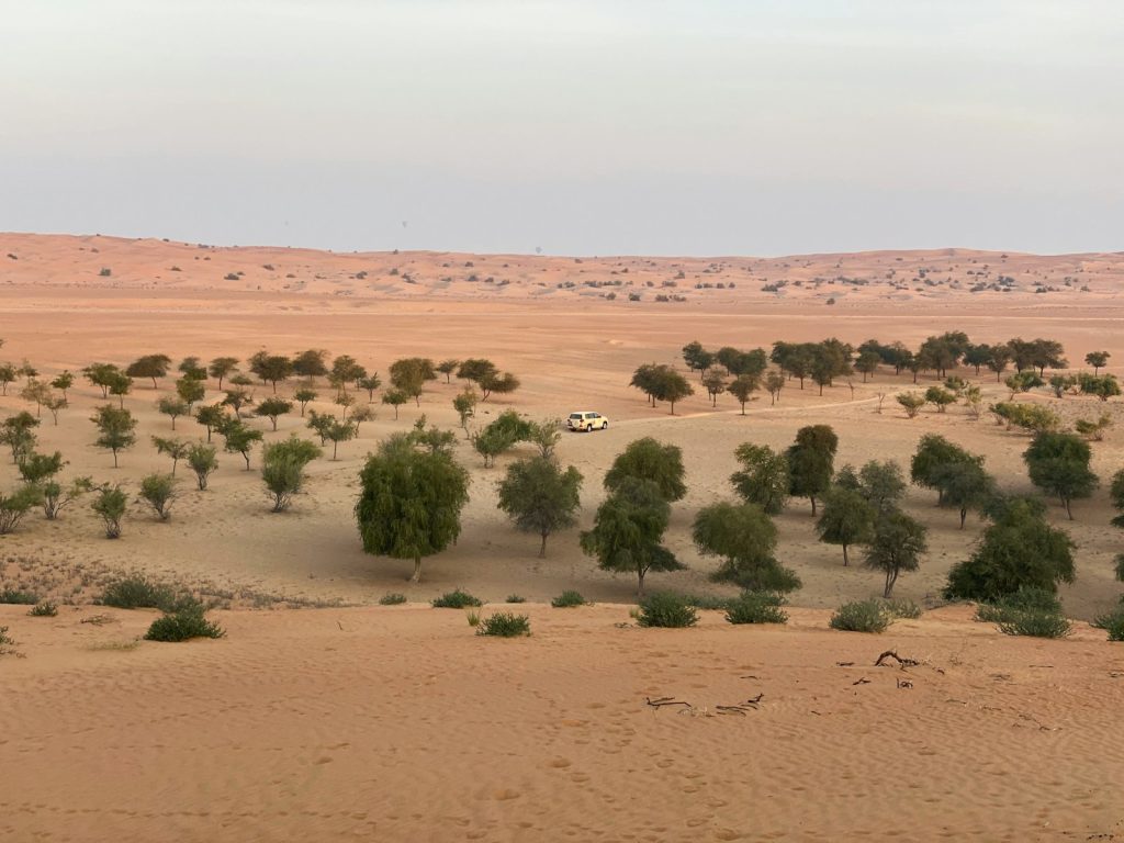 4 Days Desert Tour from Marrakech to Merzouga