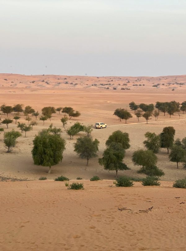 4 Days Desert Tour from Marrakech to Merzouga