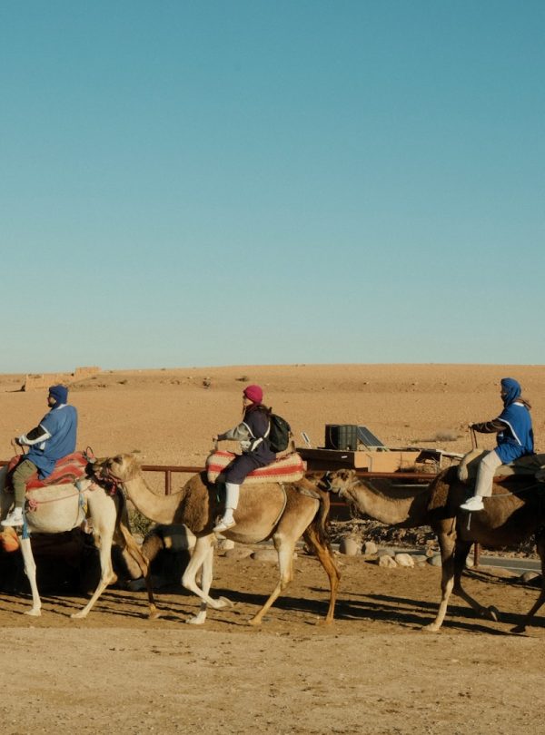 A group of people riding on the backs of camels