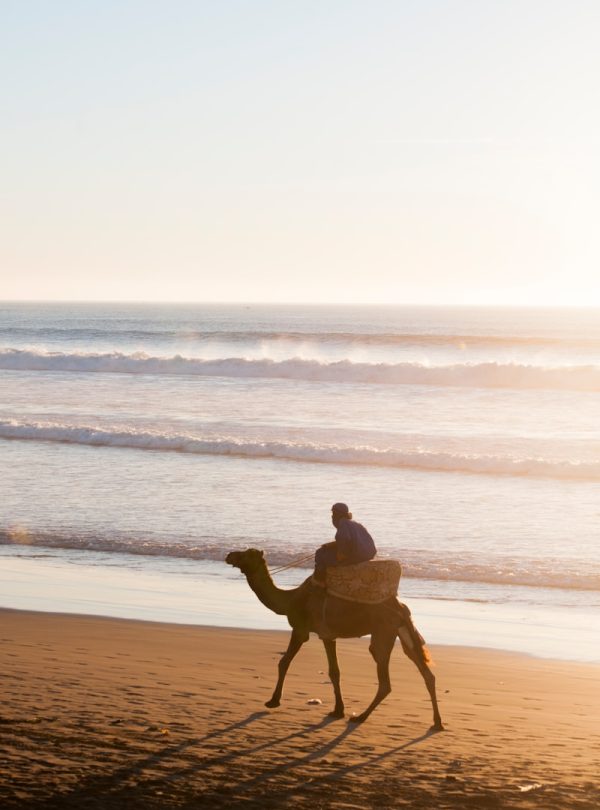 person riding a camel beside body of water during dayitme