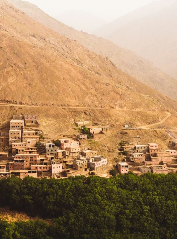 photo of brown houses surrounded by green trees