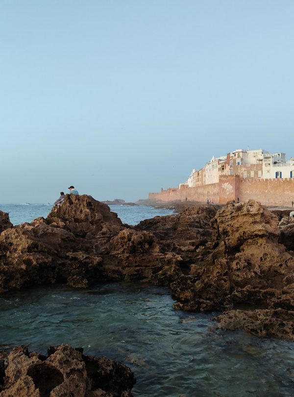 A view of a rocky shore with buildings in the background