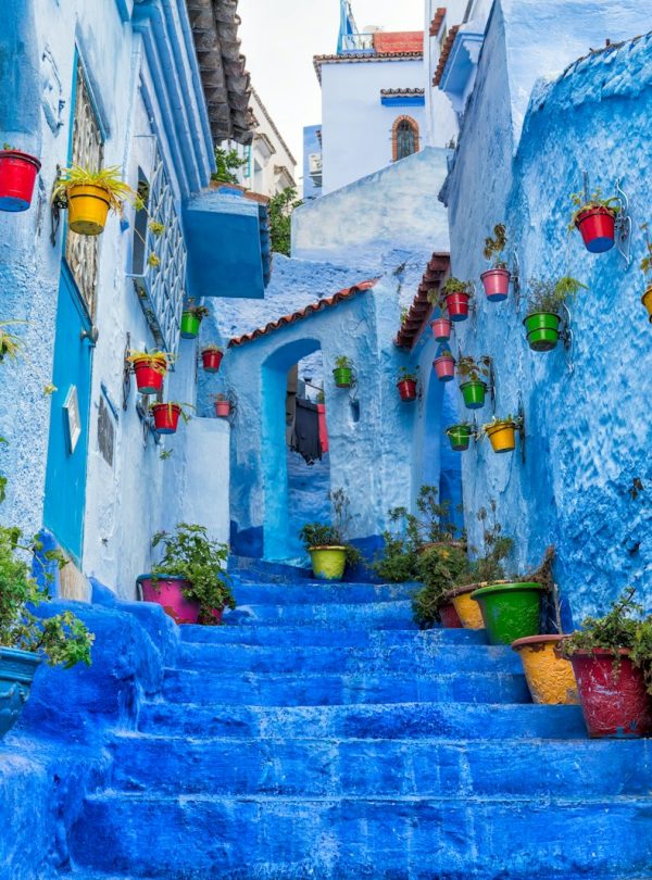 a narrow street with blue steps and potted plants
