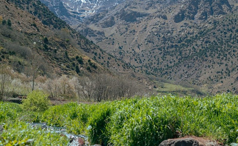 Imlil Valley Day Trip from Marrakech