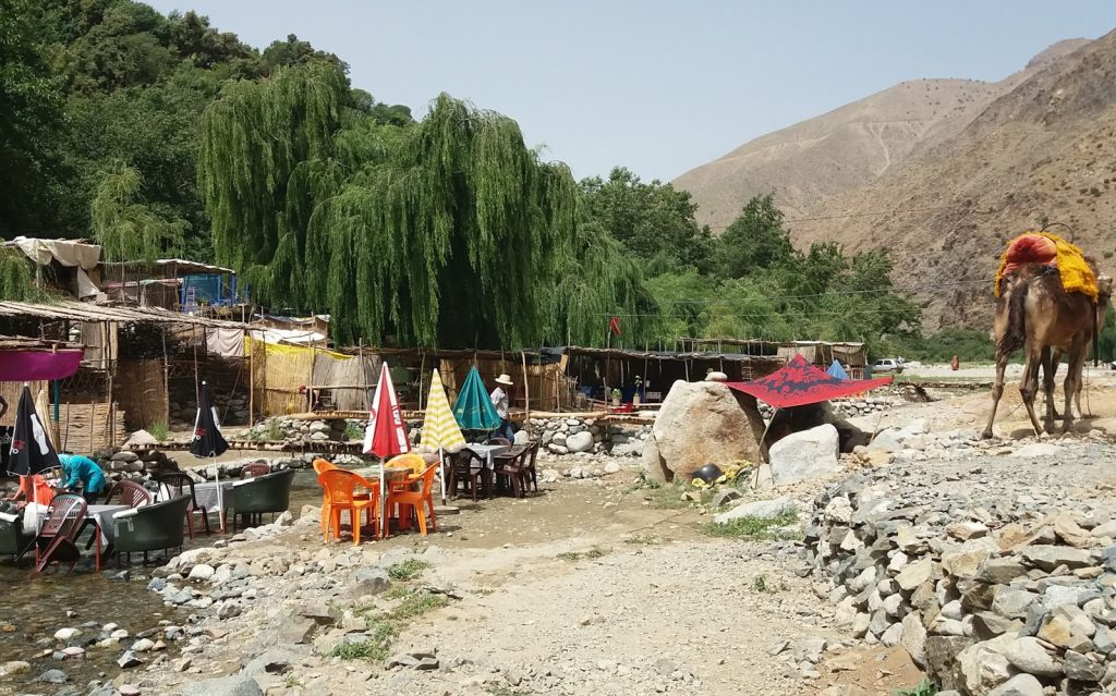 a horse and some tents