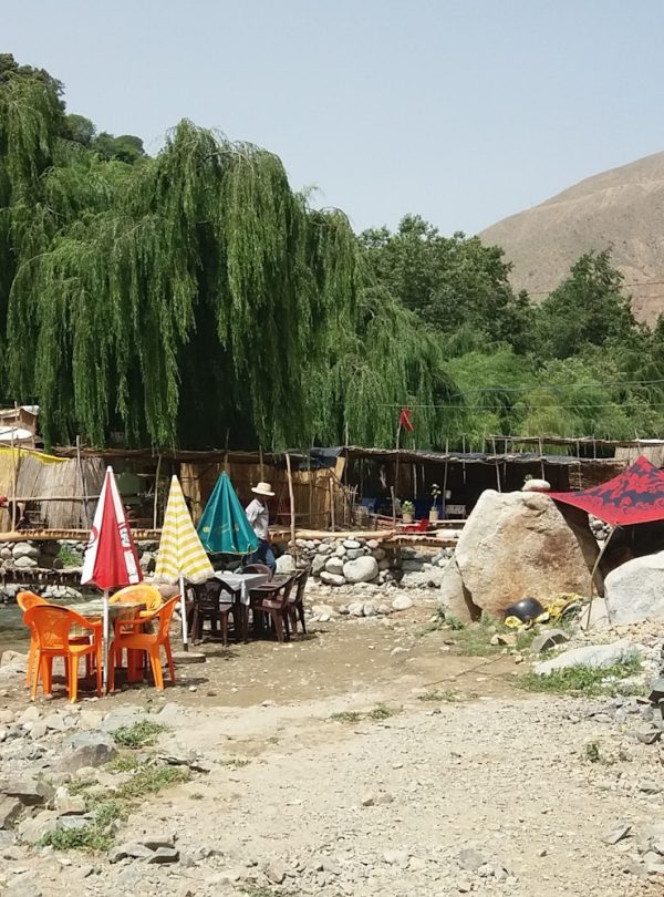 a horse and some tents