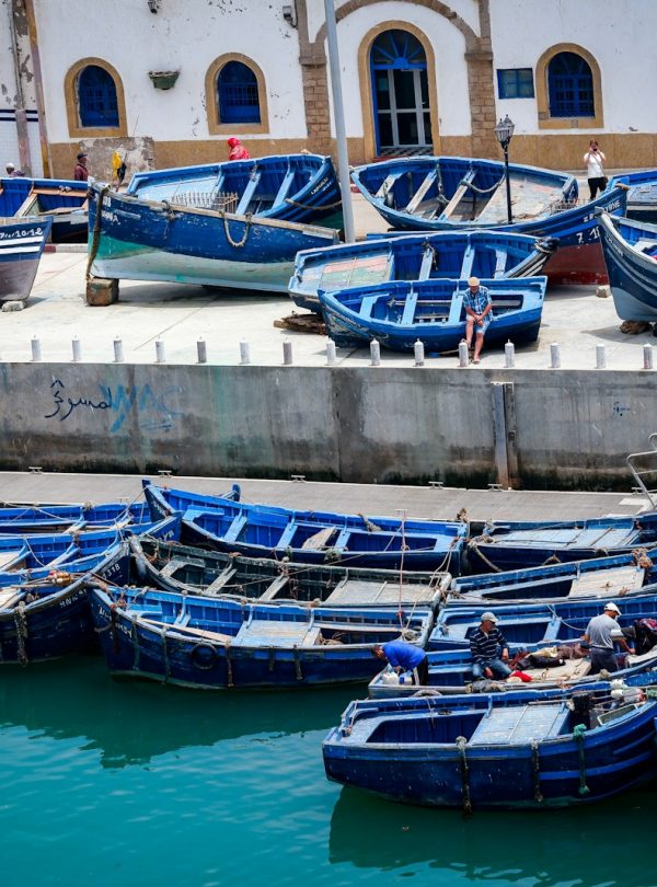 blue wooden boat lot