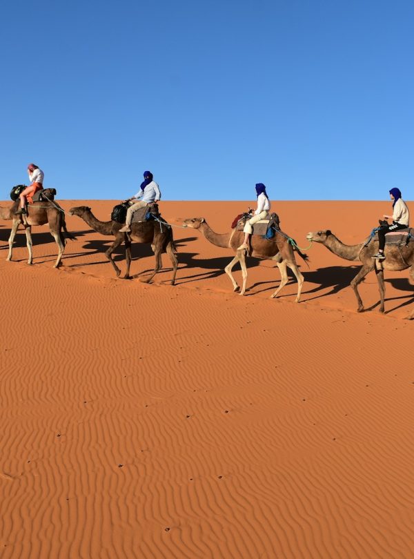 people riding camels in the desert
