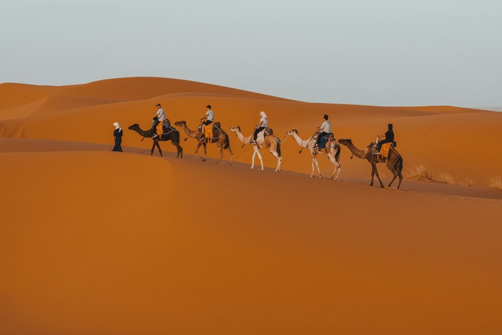 a group of people riding camels across a desert
