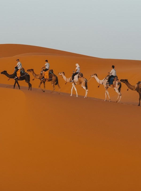 a group of people riding camels across a desert