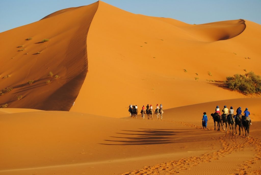 a group of people riding horses across a desert